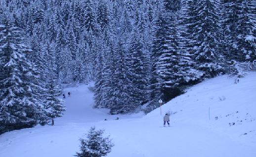 Imagen Bosque y pista de esqui, click para jugar