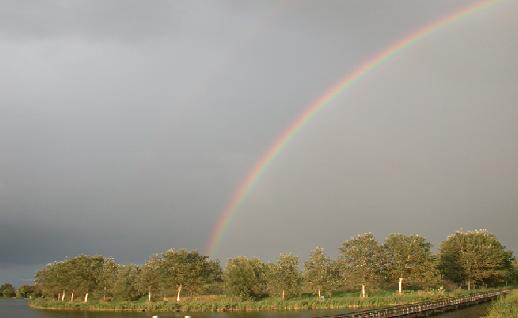 Imagen Arcoiris sobre el bosque, click para jugar