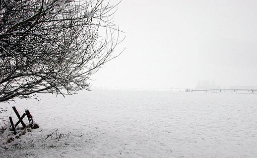 Imagen Campo nevado desierto, click para jugar