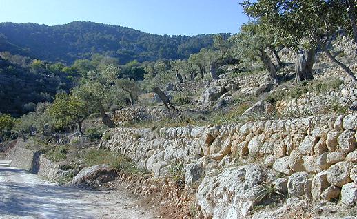 Imagen Ladera rocosa, click para jugar