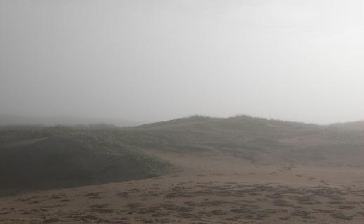 Imagen Huellas en las dunas, click para jugar