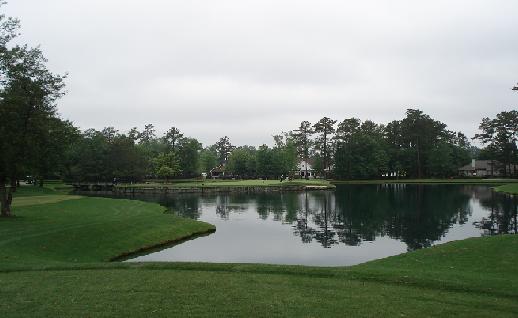 Imagen Parque lago y casas, click para jugar