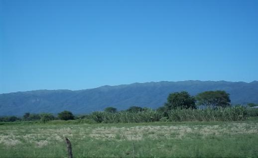 Imagen Arboles y cerro, click para jugar