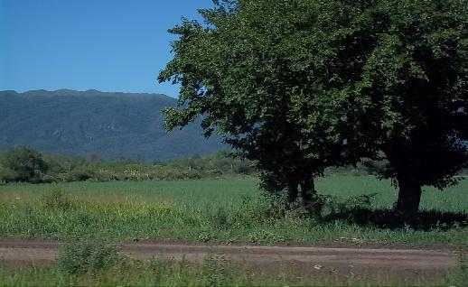 Imagen Camino de tierra, click para jugar