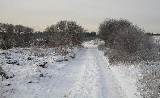 Imagen Camino en la nieve, click para jugar